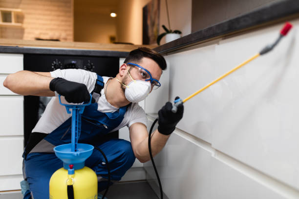Best Wasp Removal Services  in Glendora, CA
