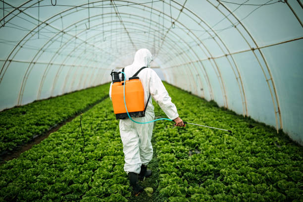 Best Mosquito Control Services  in Glendora, CA