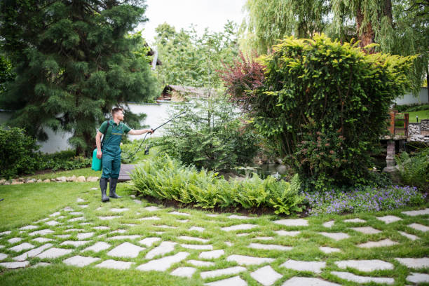Best Cockroach Control Services  in Glendora, CA