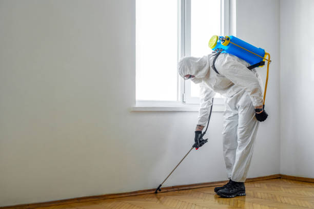 Best Mosquito Control Services  in Glendora, CA