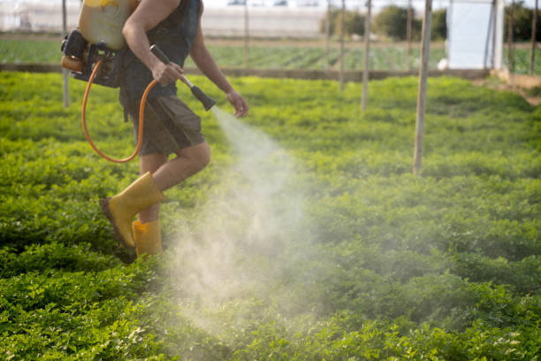 Professional Pest Control in Glendora, CA
