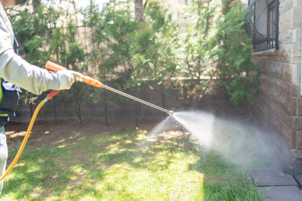 Best Local Pest Control Services  in Glendora, CA