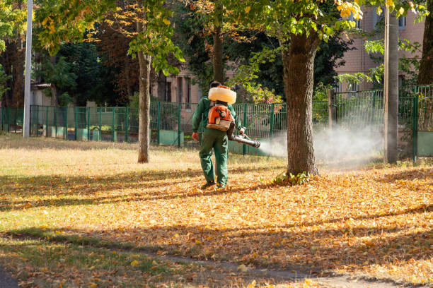 Best Local Pest Control Services  in Glendora, CA