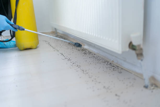 Pest Control for Restaurants in Glendora, CA