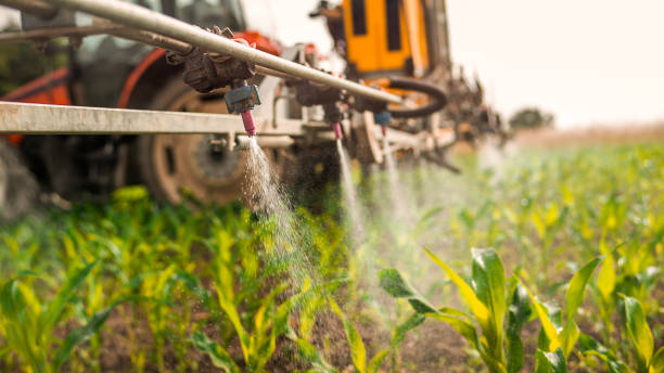 Best Commercial Pest Control Services  in Glendora, CA